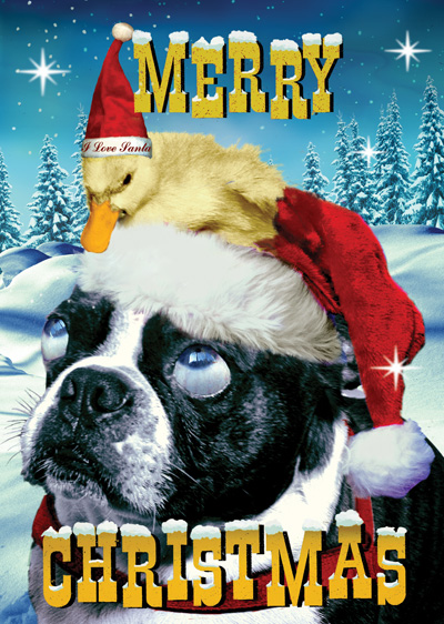 Dog and Duck Christmas Greeting Card by Max Hernn - Click Image to Close